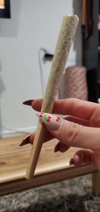 RAW - Emperador Cone 帝王 預捲菸 [18cm] 1入：圖片 9
