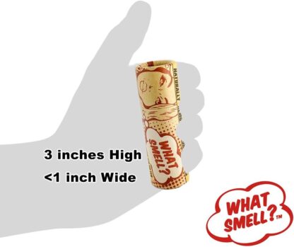 What Smell? - 煙霧芳香過濾器：圖片 4