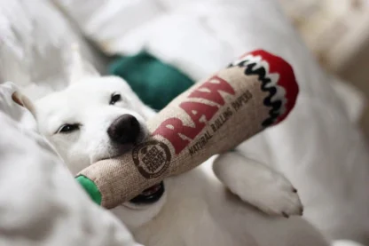 RAW - Hemp Joint Dog Toys 捲菸狗玩具：圖片 2