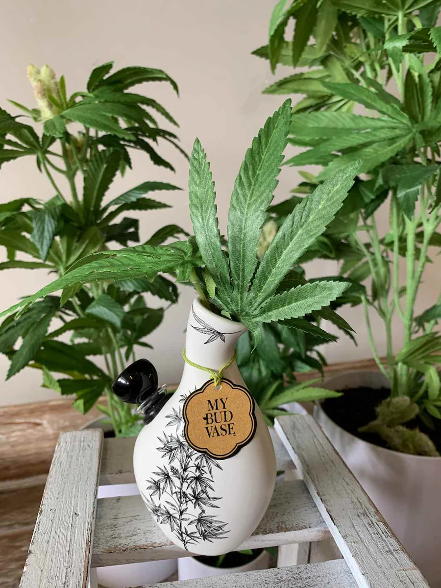 MY BUD VASE - Love Bud Vase  精緻陶瓷 花瓶過水器